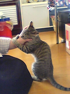 040410_001.jpg(27674 byte)