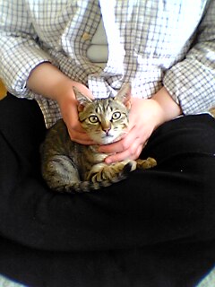 040410_003.jpg(20013 byte)