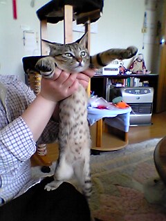 040410_004.jpg(24704 byte)