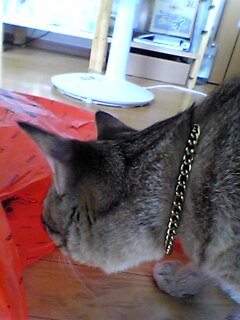 040722_01.jpg(21512 byte)