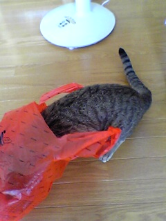 040722_02.jpg(25144 byte)