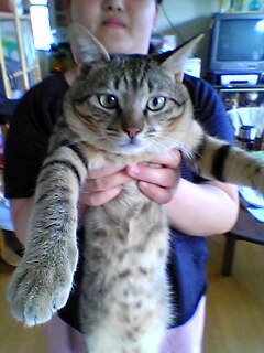 040722_06.jpg(23556 byte)