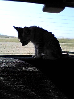 041017_H01.jpg(23585 byte)