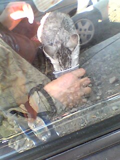 041017_H02.jpg(24258 byte)