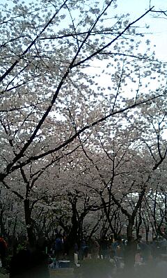 060408_1711~0001.jpg(39198 byte)