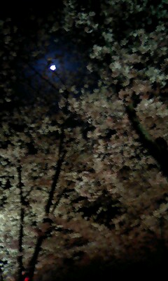 060408_2351~0001.jpg(31874 byte)