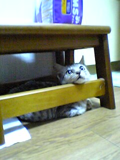 04-10-19_20-14.jpg(19221 byte)