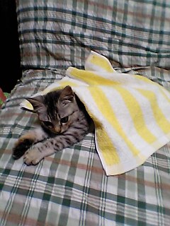 04-10-20_22-04.jpg(26200 byte)